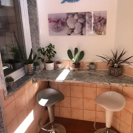 Casa Da Avenida Apartment